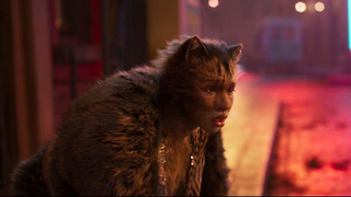 Things Are Not Going Well for <i>Cats</i>